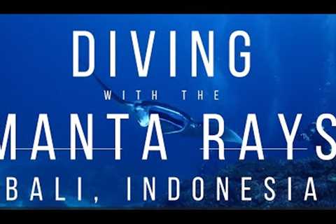 4K Scuba Diving with the Manta Rays at Nusa Penida, Indonesia