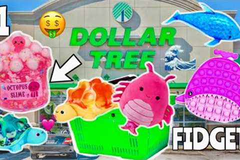 BEACH ONLY FIDGET SHOPPING CHALLENGE! 😱🏝️🌊 NO BUDGET $1 SLIME &amp; FIDGETS SHOPPING SPREE