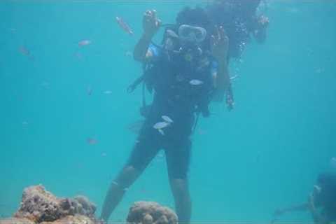 Andaman trip Part-1 | Scuba diving | Havelock Island #andaman #scubadiving #travel #trending #viral