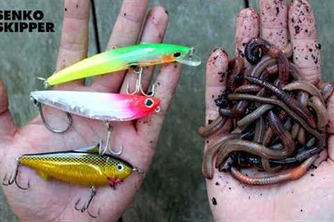 Pier Fishing: Which works better? Lures VS Live bait