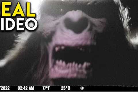 Mega Compilation of 2023 Disturbing Trail Cam Footage