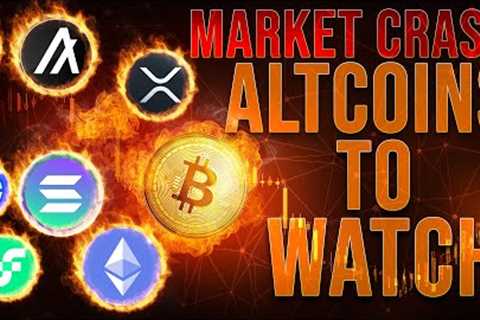 Crypto Market Crash 🔥 Altcoin Update