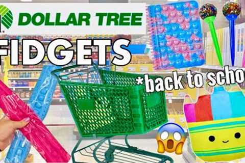 BACK TO SCHOOL FIDGET SHOPPING AT DOLLAR TREE! 🤑 Rare Pop its &amp; $1 School Supplies | Shopping..