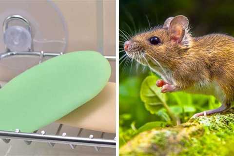 10 Wildlife Deterrents Debunked!