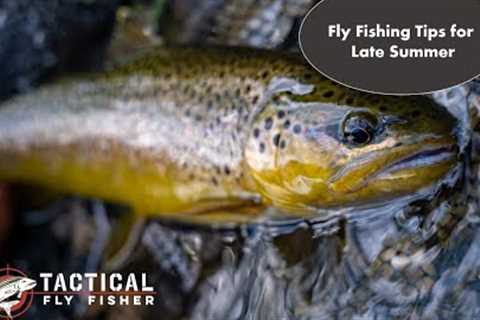 Fly Fishing Tips for Late Summer