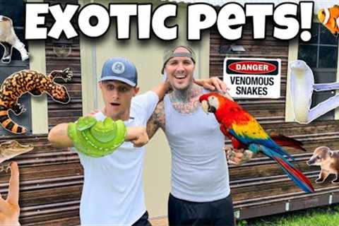 EXOTIC SNAKE Gets His DREAM HOME!!