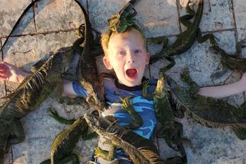14 Days Fishing &amp; Hunting Invasive Species in Florida (Catch &amp; Cook) - 18 Invasive..