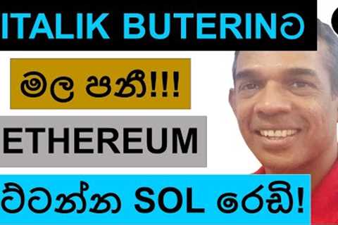 VITALIK BUTERIN TAKES THE REVANGE!!! | SOLANA IS READY TO BEAT ETHEREUM?