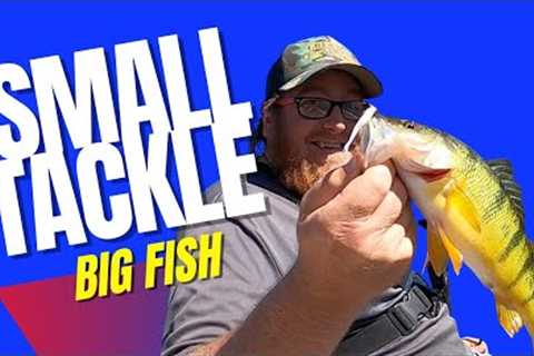 Light Tackle = Big Fish! Fishing Multi Species