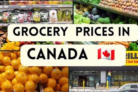 Groceries Price in Canada 🇨🇦 2023| No Frills | Grocery Shopping in Canada @vlogsincanada