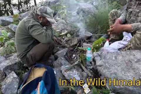 Trail Camera Near Our House II | Black Bear, Pit viper, Serow ,Koklas | Wildlife of Himalaya