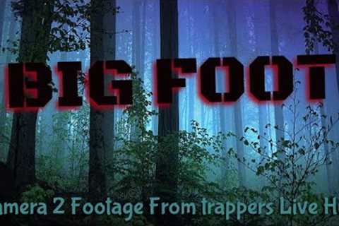Mysterious cryptids encounters / Camera 2 Footage