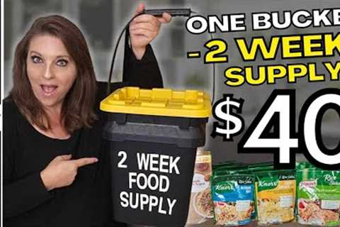Make this SURVIVAL BUCKET while there's still time! Save money |DIY| Prepping for SHTF 2023