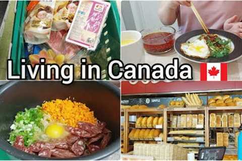 Daily Life Living in Canada| Grocery Shopping | Chinese steamed pork with salted eggs | beef soup