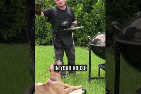 Grilling Safety for Your Pup This Labor Day