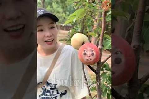 🍎 APPLE  FUNNY VIDEO 😂 ~mini wood toy-woodworking art skill wood /hand craft #shorts