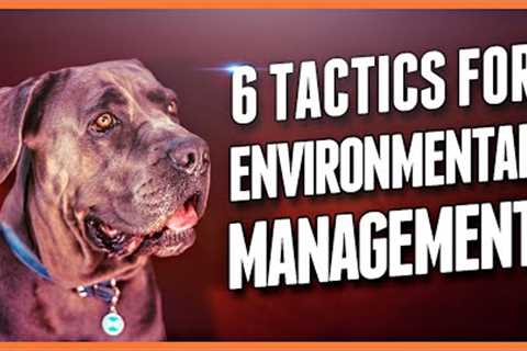 Conquer Canine Challenges: 6 Dog Training Strategies for Environmental Management