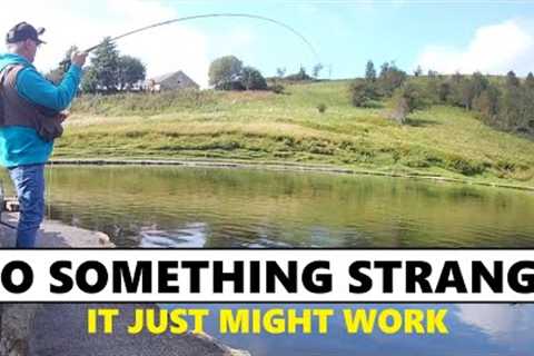 196. One Way to Fly Fish Buzzers &amp; Catch Trout