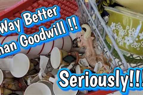 This CAN NOT Be Real - Is This Thrift Store Trying To Punk Me - Thrifting BETTER Than Goodwill- Ohio