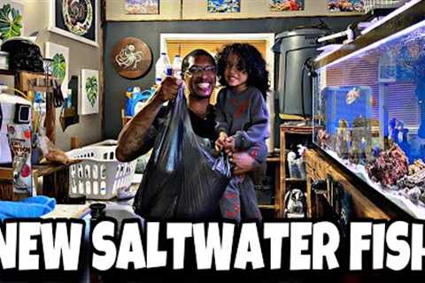 NEW SALTWATER FISH