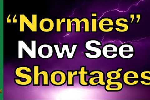 Is The PANIC About To Begin? | Shortages Go International | Empty Shelves Update