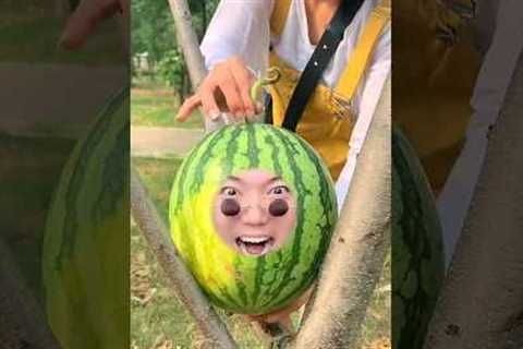 🍉 watermelon sad 😂 ~mini wood toy-woodworking art skill wood /hand craft #facts #amazingfacts