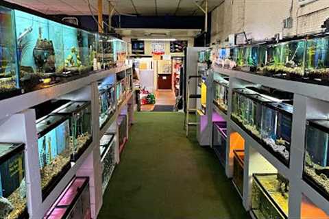 THIS FISH STORE BEEN SELLING FISH FOR 100 YEARS! *Tour*