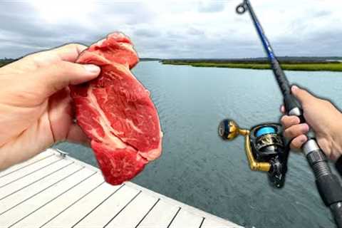 Using STEAK as Bait.. Does it Work?? (Catch and Cook)