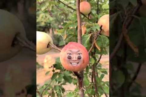 Apple 🍎 funny video 😂 | ~mini wood toy - woodworking art skill / wood / hand crafts / #short