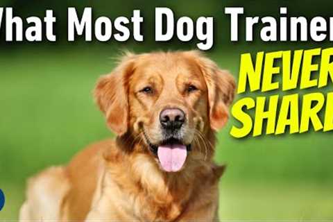 Empowering The Next Generation Of Dog Lovers: Finya's School Assignment #231 #podcast
