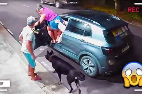 60 Incredible Moments Caught on Camera | Fail Of The Week! Funny Fail 2023 ToBe #34