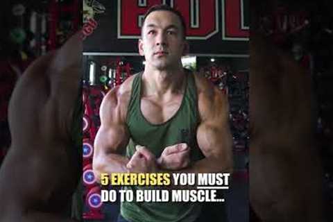 5 Exercises You NEED To Build Muscle