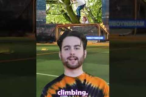 Weird hobbies #falconry #climbing #jokes #memes #ghosthunting #top5