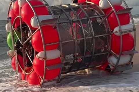 Florida Man Riding Human-Sized Hamster Wheel Arrested on Federal Charges