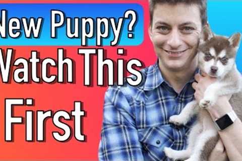 Everything you Need to be Prepared for your New Puppy!