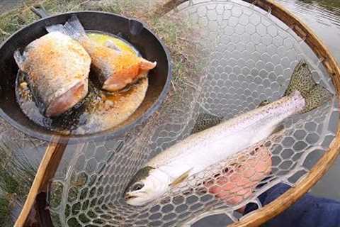 Fast Action FLY FISHING for RAINBOW TROUT!! - Catch &amp; Cook