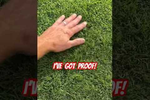 I 💩 you not!🤣🤯#lawncare #youtube #shorts #funny #dog