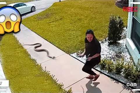 Incredible Moments Caught on Camera | Fail Of The Week! Funny Fail 2023 ToBe