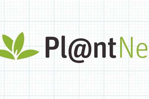Plant identification apps that are the best