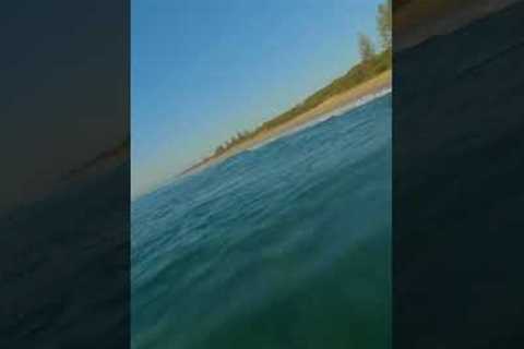 Point Cartwright Sunrise by FPV! #shorts #fpv #drone #sunrise  #gopro