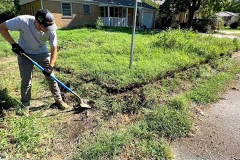 It was almost a RECORD how much OVERGROWTH I REMOVED
