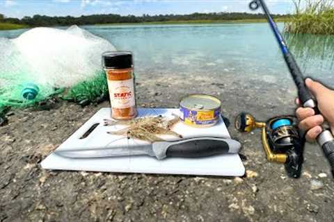 Eating Whatever I Catch.. (Catch and Cook) Cast Net + Fishing