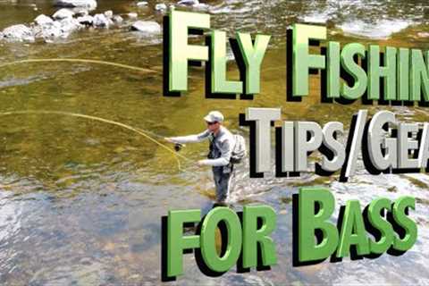 Fly Fishing Bass Tips, Techniques and Gear