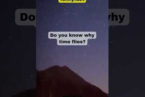 Funny YouTube shorts - fact  clips