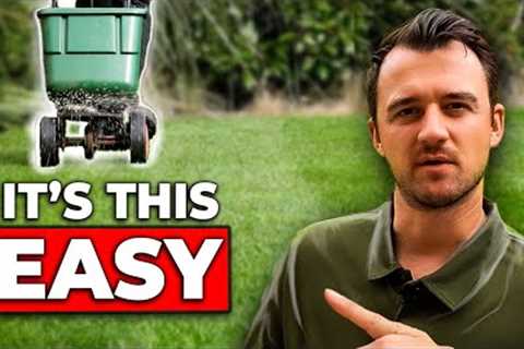 7 Highly Effective Autumn Lawncare Tips