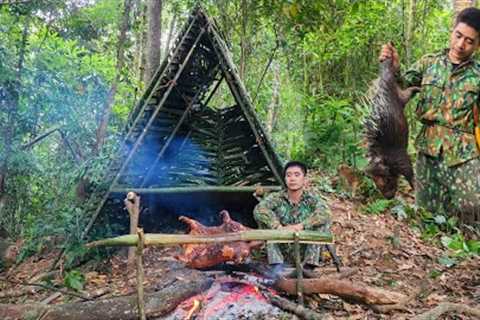 Detect porcupine footprints, porcupine trap skills, build a bamboo hideout, and survive alone