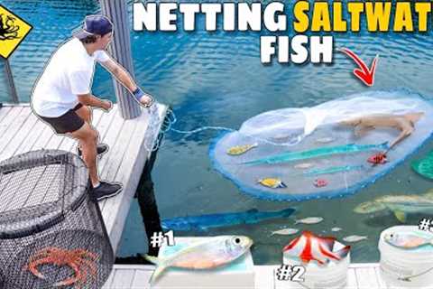 Netting TONS Of WILD FISH To STOCK My SALTWATER AQUARIUM!!