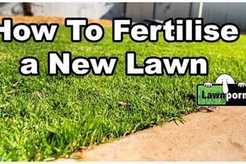 How to Fertilize a New Lawn