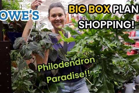 Beautiful HUGE Philodendron at Lowe's! Big Box Plant Shopping &amp; Plant Haul - Charlotte, NC
