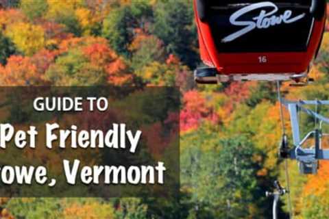 Guide To Pet Friendly Stowe, Vermont